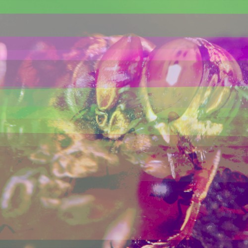 …Oh, It’s “Just” Some Weird Bug Noise, Really.
