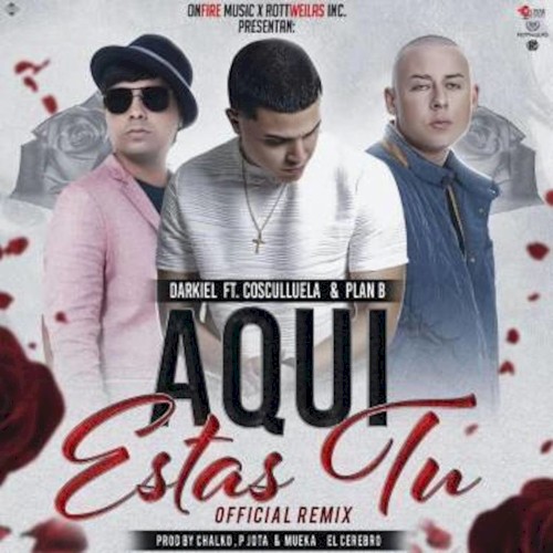 Aquí estás tú (remix)