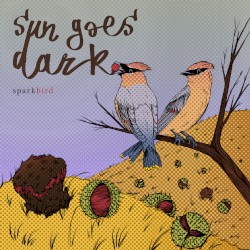 Sun Goes Dark