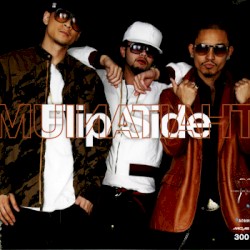 Flip Side