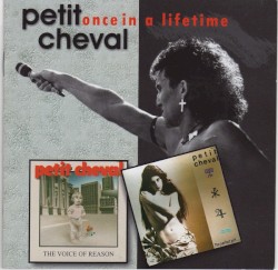 Once in a Lifetime
