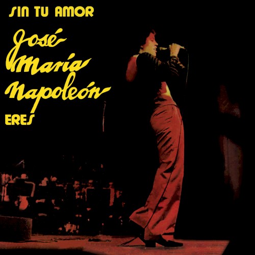 Sin Tu Amor