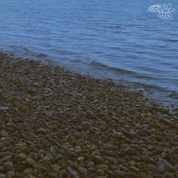Tides
