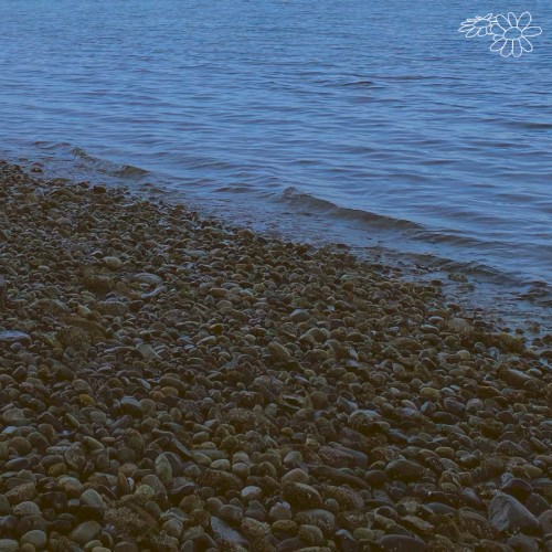 Tides