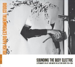 Sounding The Body Electric