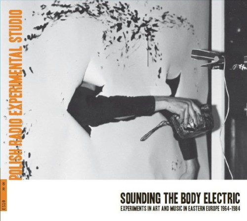 Sounding The Body Electric