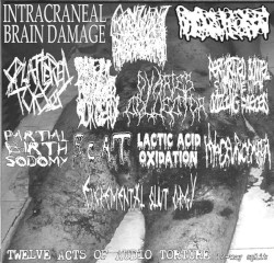 Twelve Acts Of Audio Torture 12 Way Split