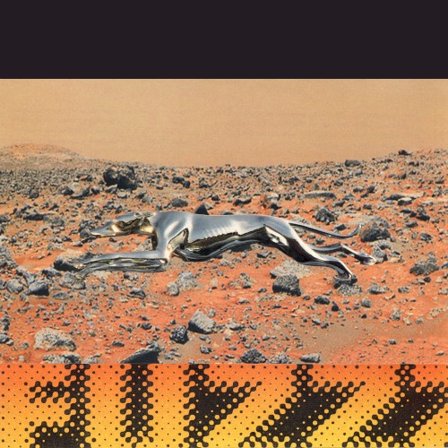 Fuzz