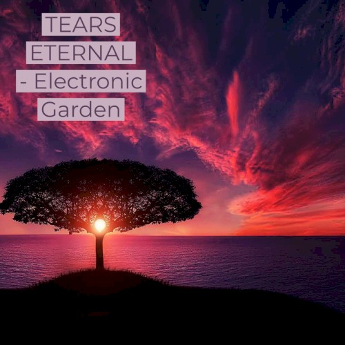 Electronic Garden