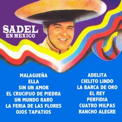 Sadel en México