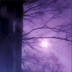 Memories of you in lavender
