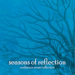 Seasons of Reflection: Winter