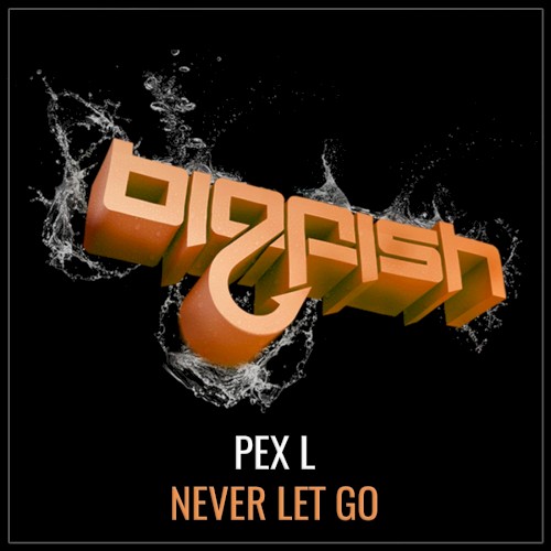 Never Let Go