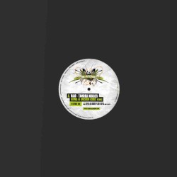 Tamghra Nouchen (remix) / Alchemy