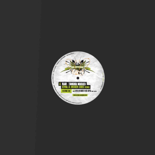 Tamghra Nouchen (remix) / Alchemy
