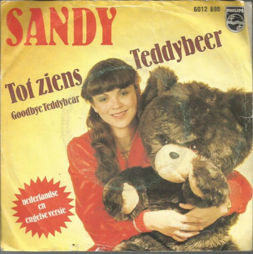 Tot ziens teddybeer