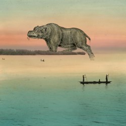 Flake of Nile