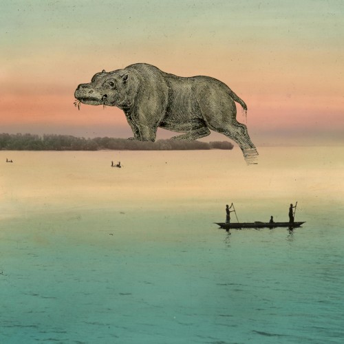 Flake of Nile