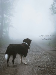 It's raining today