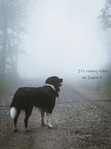 It's raining today