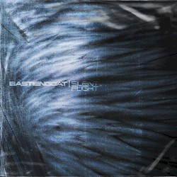 SILENT FLIGHT