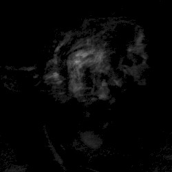 Tacent Semitae