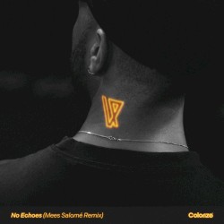 No Echoes (Mees Salomé Remix)