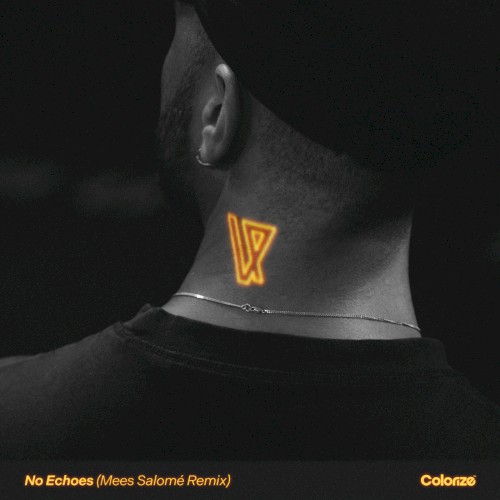 No Echoes (Mees Salomé Remix)