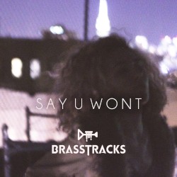 Say U Won't