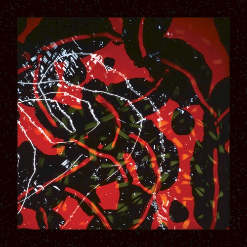Nerve Net