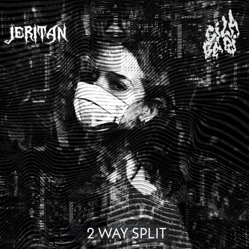 2 WAY SPLIT