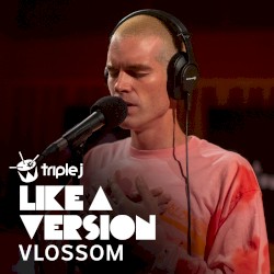 Fast Car (triple j Like A Version)