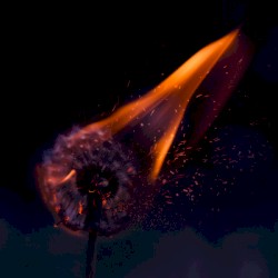Burn