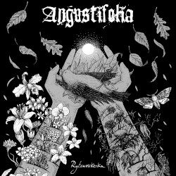Rytruviskerka
