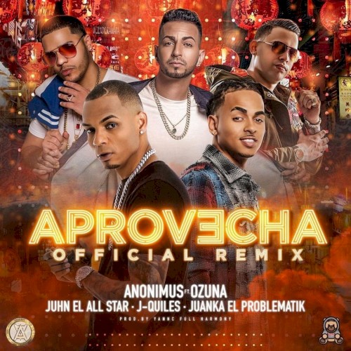 Aprovecha (remix)
