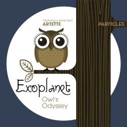 Owl's Odyssey