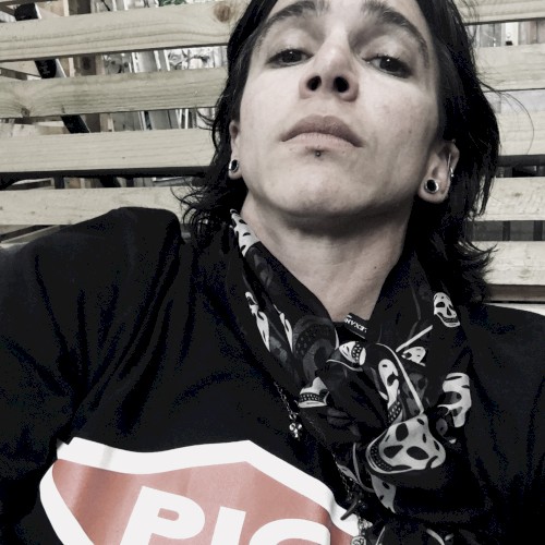 No One Gets Out of Her Alive (PIG cover)