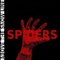 Spiders
