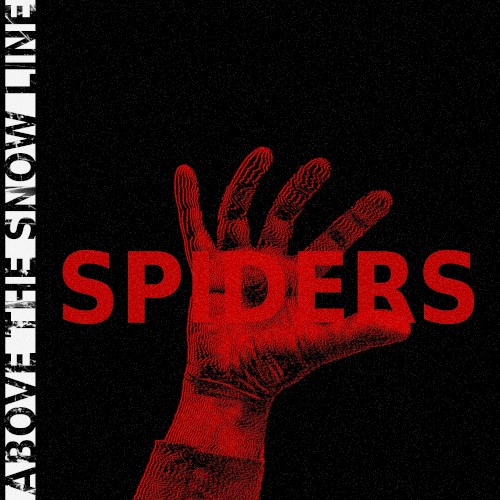 Spiders