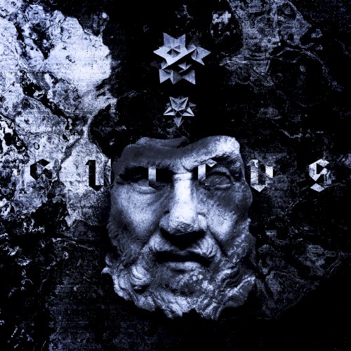 Sulcus