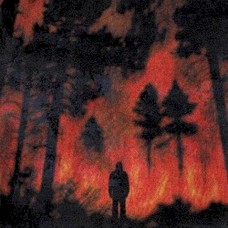 FORÊT