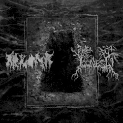 Arkona / Illness