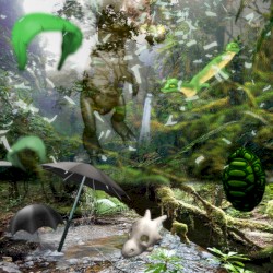 Forest Air Regeneration Theory