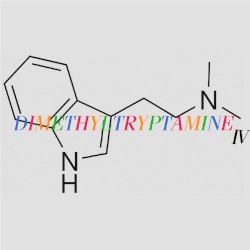 Dimethyltryptamine ＩＶ