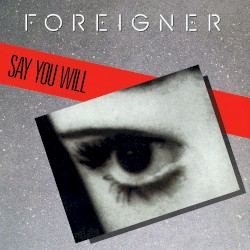 Say You Will