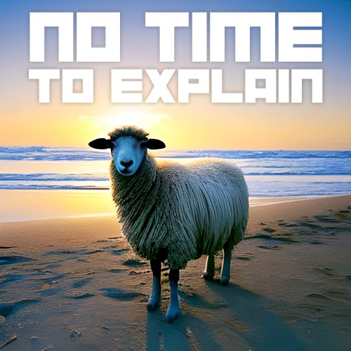 No Time to Explain