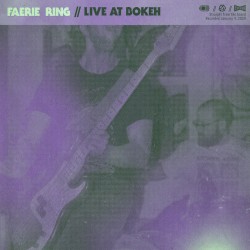 Live at Bokeh