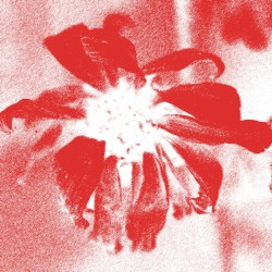 Wrong Thing (Baths remix)