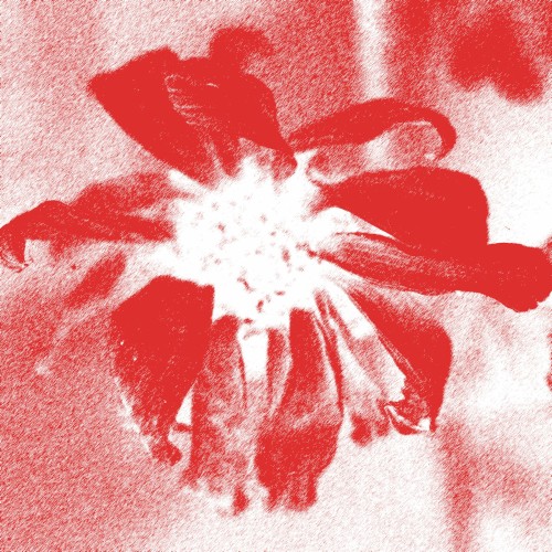 Wrong Thing (Baths remix)