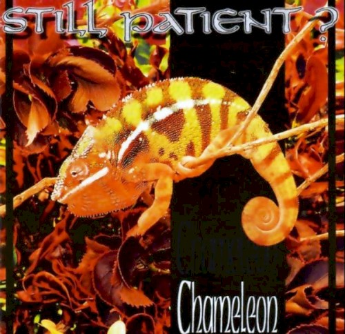Chameleon